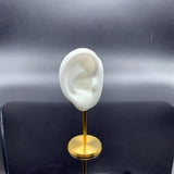 Maxbell Earring Display Stand Ear Model Stud Holder with Base for Birthday Showcase White Right