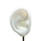Maxbell Earring Display Stand Ear Model Stud Holder with Base for Birthday Showcase White Right