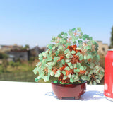 Max Mini Crystal Money Tree Bonsai Style Feng Shui Tree Home Office Decor Green