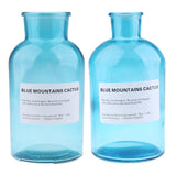 Max Colourful Glass Vase European Style Flower Vase Home Decor Sky-blue(L)