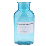 Max Colourful Glass Vase European Style Flower Vase Home Decor Sky-blue(L)
