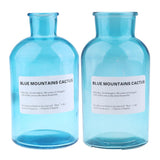 Max Colourful Glass Vase European Style Flower Vase Home Decor Sky-blue(L)