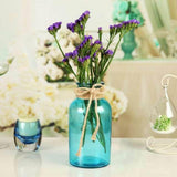 Max Colourful Glass Vase European Style Flower Vase Home Decor Sky-blue(L)