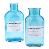 Max Colourful Glass Vase European Style Flower Vase Home Decor Sky-blue(L)