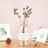 Max Colourful Glass Vase European Style Flower Vase Home Decor Transparent(L)