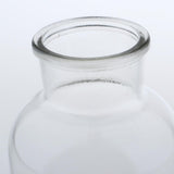 Max Colourful Glass Vase European Style Flower Vase Home Decor Transparent(L)