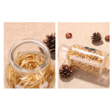 Max Glass Flower Dried Fresh Flower Vase for Home Shop Decor Transparent(M) B