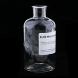 Max Glass Flower Dried Fresh Flower Vase for Home Shop Decor Transparent(M) B