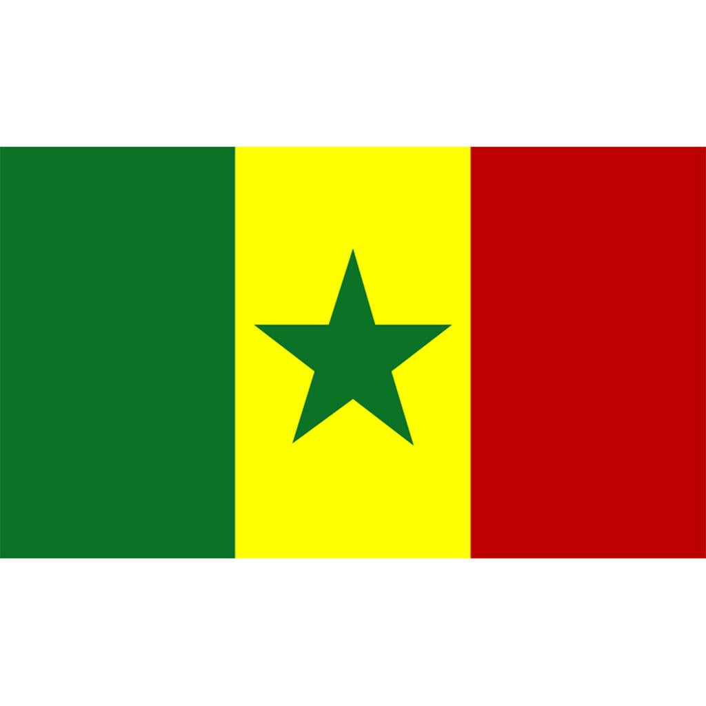 Maxbell 12PCS Flag Flags Banner Hand Waving Flag National Pride Flag Senegal