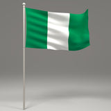Maxbell 12PCS Flag Flags Banner Hand Waving Flag National Pride Flag Nigeria