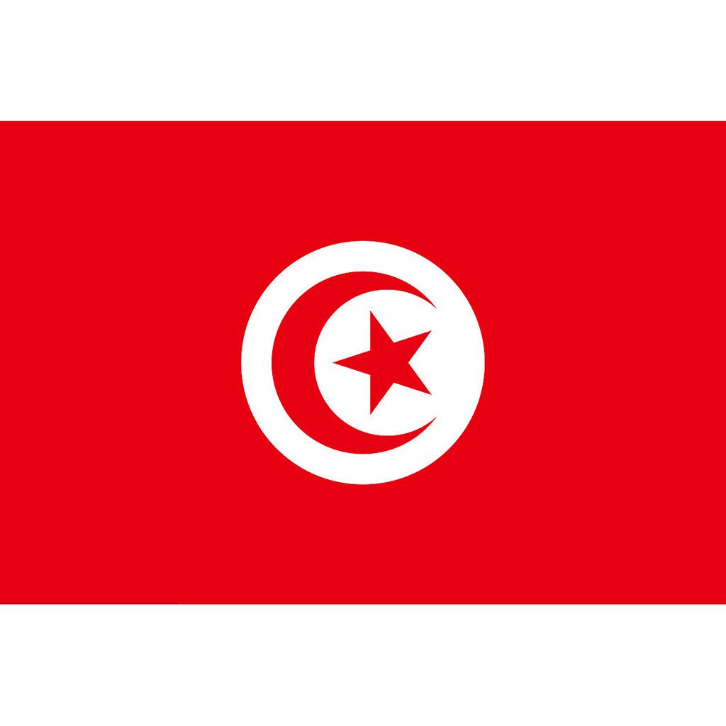 Maxbell 12PCS Flag Flags Banner Hand Waving Flag National Pride Flag Tunisia