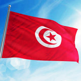 Maxbell 12PCS Flag Flags Banner Hand Waving Flag National Pride Flag Tunisia