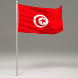 Maxbell 12PCS Flag Flags Banner Hand Waving Flag National Pride Flag Tunisia