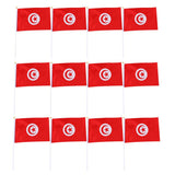 Maxbell 12PCS Flag Flags Banner Hand Waving Flag National Pride Flag Tunisia