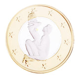 Maxbell Gold and Silver Plated Metal Coins for Adults Souvenir Gifts Collection  #18