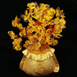 Maxbell Natural Yellow Crystal Money Tree Bring Wealth Lucky Tree Pachira Home Decor