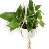 Max Plant Hanger Manual Knitted Cotton Rope Basket Plant Hanging Decoration #2
