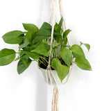 Max Plant Hanger Manual Knitted Cotton Rope Basket Plant Hanging Decoration #4