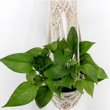 Max Plant Hanger Manual Knitted Cotton Rope Basket Plant Hanging Decoration #5