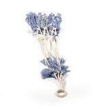 Max Handmade Crochet Knitted Cotton Planter Flower Pot Basket Wall Hanging Rope