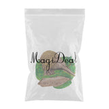 Max Resin Fridge Magnet Refrigerator Stickers Home Decor Kiwi