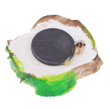 Max Resin Fridge Magnet Refrigerator Stickers Home Decor Kiwi
