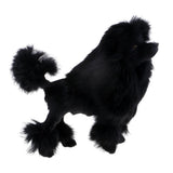 Max Simulation Poodle Dog Model Poodle Toy Figure Home Decoration Kids Gfit