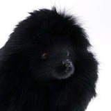 Max Simulation Poodle Dog Model Poodle Toy Figure Home Decoration Kids Gfit