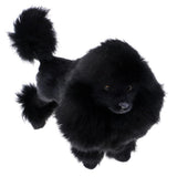 Max Simulation Poodle Dog Model Poodle Toy Figure Home Decoration Kids Gfit