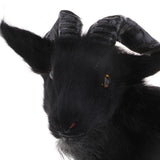 Max Simulation Goat Sheep Figurines Animal Plush Toy Christmas Decor Black 21cm