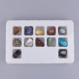 Max 15x Crystal Gemstones for Terrarium Fish Tank Plant Potting Glass Container