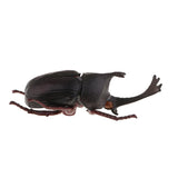 Max Animal Toys Educational Resource High Simulation Reallistic Insects Figure C