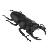 Max Animal Toys Educational Resource High Simulation Reallistic Insects Figure H