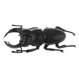 Max Animal Toys Educational Resource High Simulation Reallistic Insects Figure H