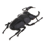 Max Animal Toys Educational Resource High Simulation Reallistic Insects Figure H