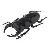 Max Animal Toys Educational Resource High Simulation Reallistic Insects Figure H