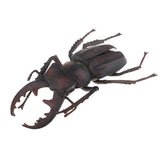 Max Animal Toys Educational Resource High Simulation Reallistic Insects Figure I