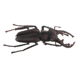 Max Animal Toys Educational Resource High Simulation Reallistic Insects Figure I