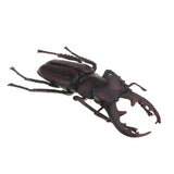 Max Animal Toys Educational Resource High Simulation Reallistic Insects Figure I