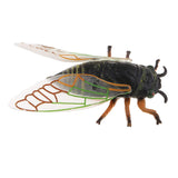 Max Animal Toys Educational Resource High Simulation Reallistic Insects Figure N