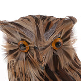 Max Simulation Lovely Animal Owl Model Photograph Props Kids Toys Brown