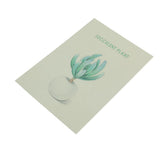 Max Photography Stuido Backdrop Leaf Card Picture Succulent Plant