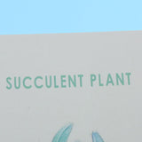 Max Photography Stuido Backdrop Leaf Card Picture Succulent Plant
