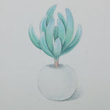 Max Photography Stuido Backdrop Leaf Card Picture Succulent Plant