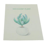Max Photography Stuido Backdrop Leaf Card Picture Succulent Plant