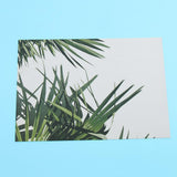 Max Photography Stuido Backdrop Leaf Card Picture Tropical Plant Leaf