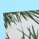 Max Photography Stuido Backdrop Leaf Card Picture Tropical Plant Leaf