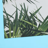 Max Photography Stuido Backdrop Leaf Card Picture Tropical Plant Leaf