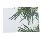 Max Photography Stuido Backdrop Leaf Card Picture Tropical Plant Leaf