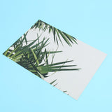 Max Photography Stuido Backdrop Leaf Card Picture Tropical Plant Leaf